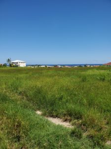 A view in Bottom Bay.