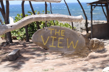 Theview